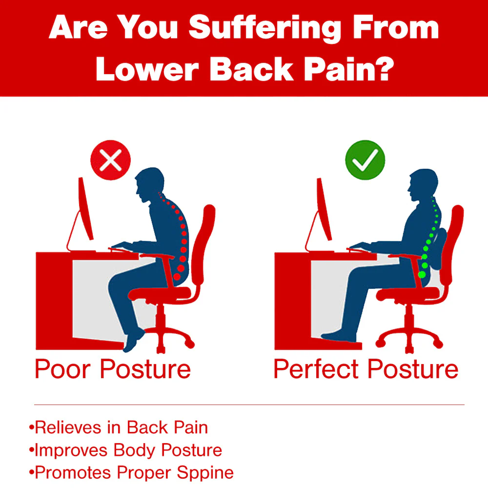 Elegant Posh Memory Foam Lumbar Support Back Rest Pillow - Image 7